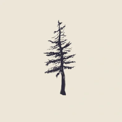 Evergreen - Credits Artwork